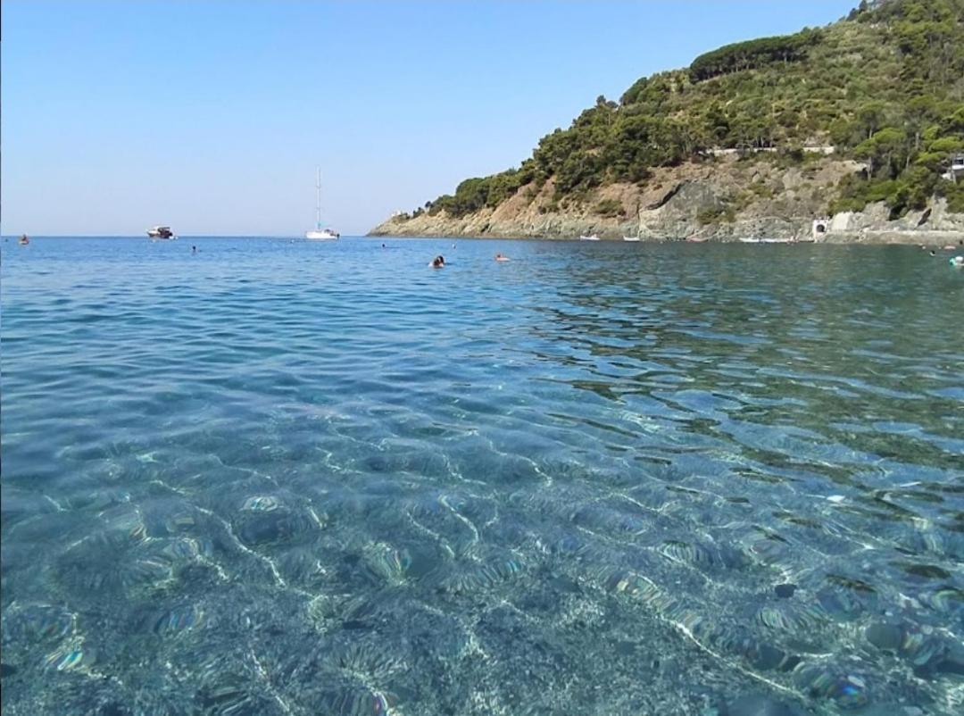 Nido Al Mare Apartman Bonassola Kültér fotó