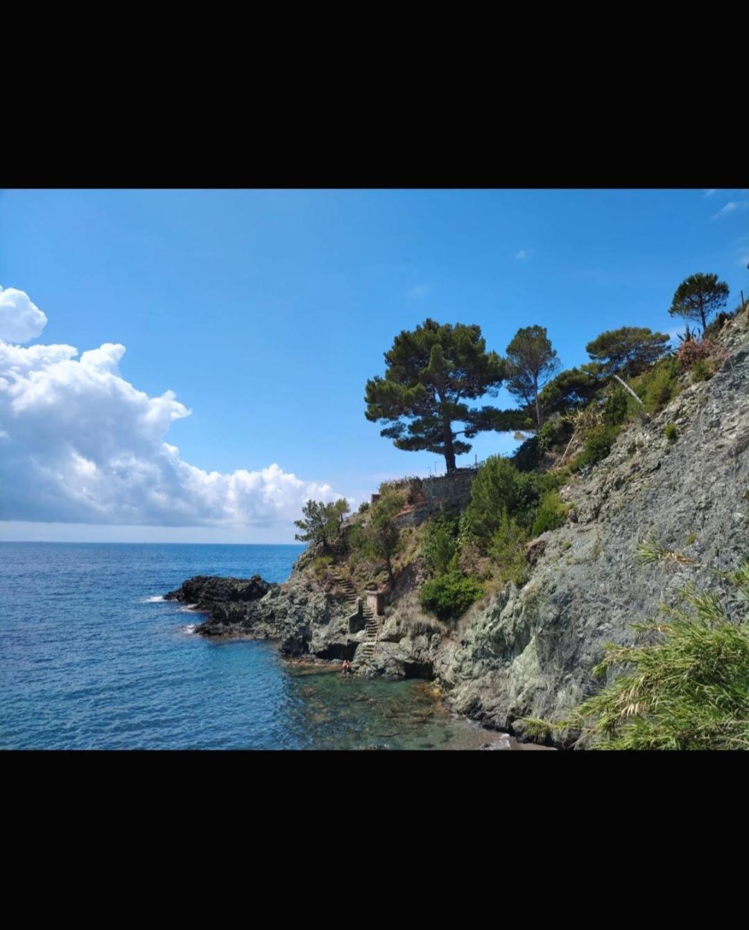 Nido Al Mare Apartman Bonassola Kültér fotó